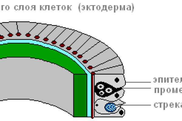 Кракен тор ссылка