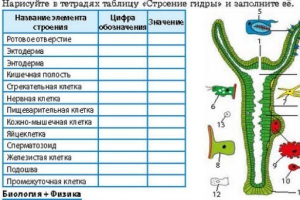 Как попасть на сайт кракен